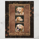 Search for rainbow bridge poem for dogs For pets