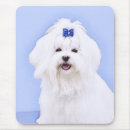 Recherche de lion blanc tapis souris Portrait