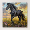 Recherche de cheval noir puzzles Nature