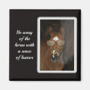 Search for horse magnets Foal