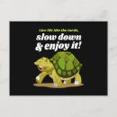 Recherche de coquille de tortue cartes postales Tortues