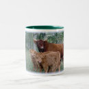 Recherche de veau de vache tasses Vaches