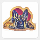 Search for alsatian stickers Gsd