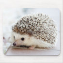 Recherche de hérisson tapis souris Nature