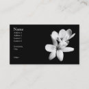 Recherche de orchidées blanches cartes visite Élégant