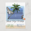 Search for florida keys postcards Bird