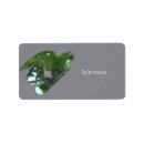 Search for owl in tree return address labels Nature