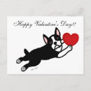 Search for boston terrier valentines day cards Heart