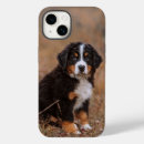 Search for bernese mountain dog iphone cases Canine