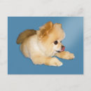 Search for pom pom postcards Animals