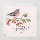 Recherche de oiseau vœux cartes Girly