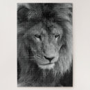 Search for male puzzles Lion
