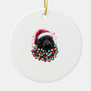 Search for black pug ornaments Weimaraner