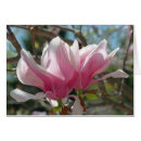 Recherche de magnolia photographie Macro