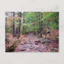 Search for red hill postcards Fall