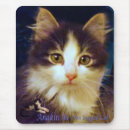 Search for legged mousepads Kitten