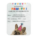 Recherche de paw magnets Pour animaux