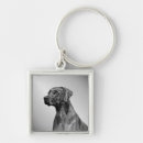 Search for loyal keychains Canine