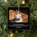 Recherche de chihuahua christmas decor Pour tous