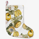 Recherche de dragon christmas stockings Botanique