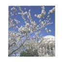 Recherche de fleurs de cerisier blocsnotes Arbre