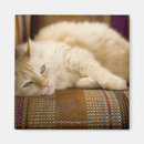 Search for sofa magnets Horizontal