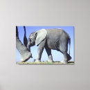Search for elephant canvas prints Mammal