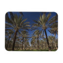 Recherche de tunisie magnets Côte méditerranéenne