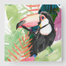 Recherche de toucan horloges Tropical