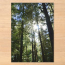 Search for tall invitations Trees