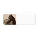 Search for arabian horse return address labels Equestrian