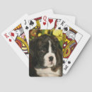 Search for boxer playing cards Dog