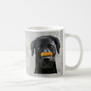 Search for dog nose mugs Animals