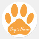 Search for orange paw stickers Pet