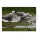 Search for puddle photography Wildlife