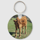 Search for calfs keychains Bull
