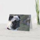 Search for pug cards Pup