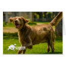 Search for stocking legs postcards Dog