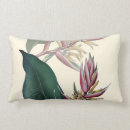 Recherche de heliconia tropical coussins Fleurs