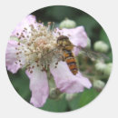 Search for hover stickers Photography