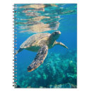 Search for sea turtle notebooks Under the sea