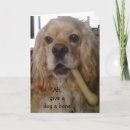 Search for dog bones cards Funny