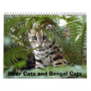 Search for bengal cat calendars Wild