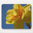 Search for colourful flower mousepads Bright