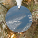 Search for state of michigan ornaments Lake huron