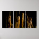 Search for cattails posters Plants