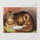 Search for ginger cat postcards Animals