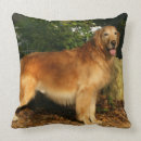 Recherche de golden retriever gifts Goldie