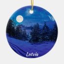 Search for full moon ornaments Winter