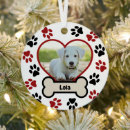 Search for pet supplies Red